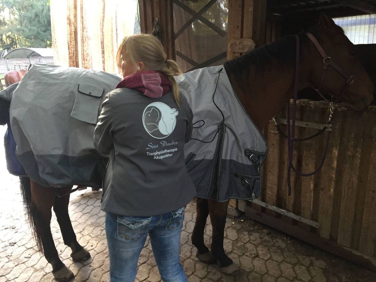 Pferd mit Magnetfelddecke im Stall